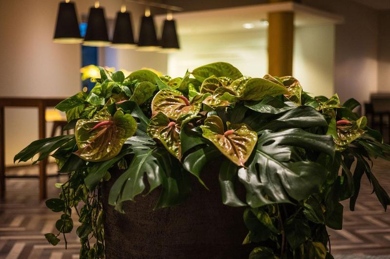 Sheraton Düsseldorf Airport - Lobi