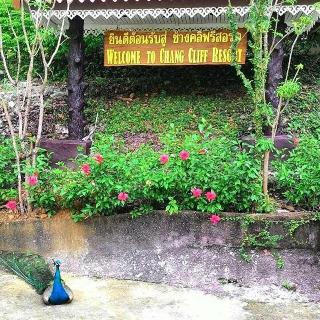Chang Cliff Resort fotoÄŸrafÄ±
