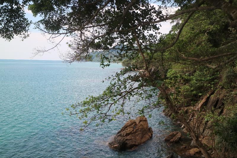 Chang Cliff Resort - Plaj