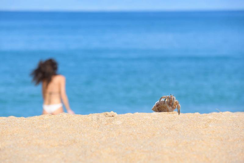 Splash Beach Resort, Maikhao Phuket - Plaj