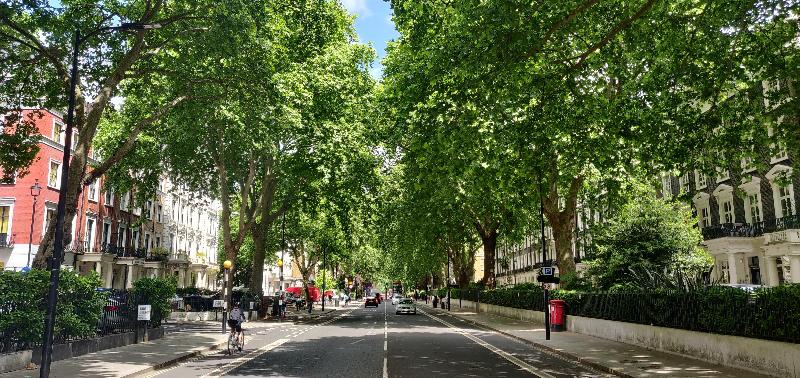 Hotel Indigo London Paddington Hyde Park - Genel