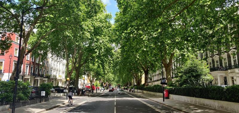 Hotel Indigo London Paddington Hyde Park - Oda