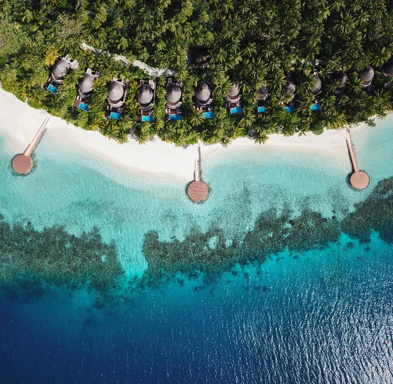 W Maldives - Genel