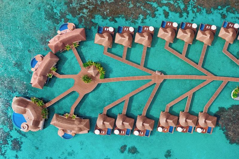 W Maldives - Oda