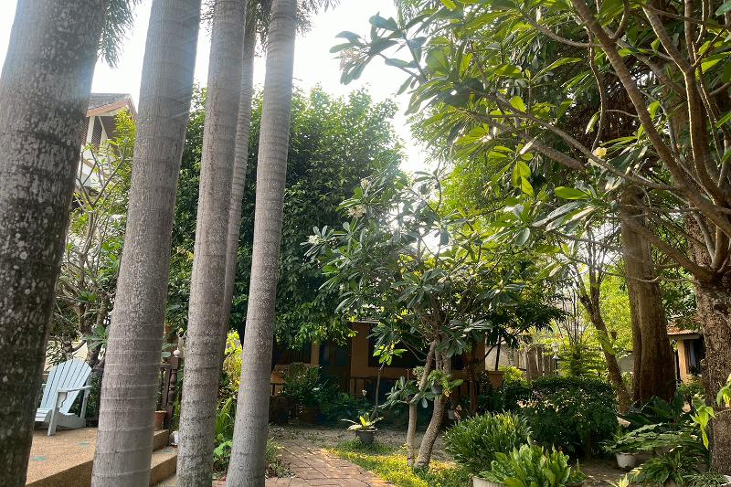 The Royal Shilton Resort by ZUZU - Genel