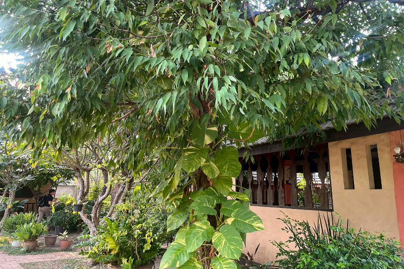 The Royal Shilton Resort by ZUZU - Genel