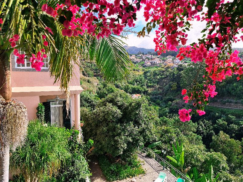 Villa Alto Boutique Hotel - Genel
