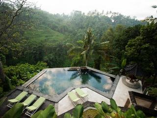 Beji Ubud Resort fotoÄŸrafÄ±
