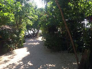 Haad Son Resort, Koh Phangan fotoÄŸrafÄ±