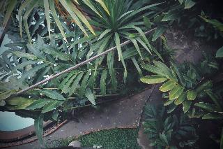 Shewe Wana Suite Resort fotoÄŸrafÄ±