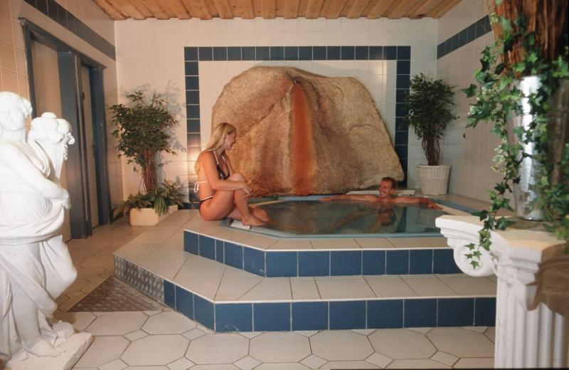 Ferienhotel Alber - Havuz