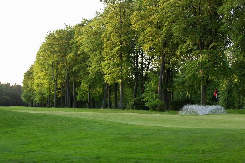 Forest Pines Hotel, Spa & Golf Resort - Aktivite
