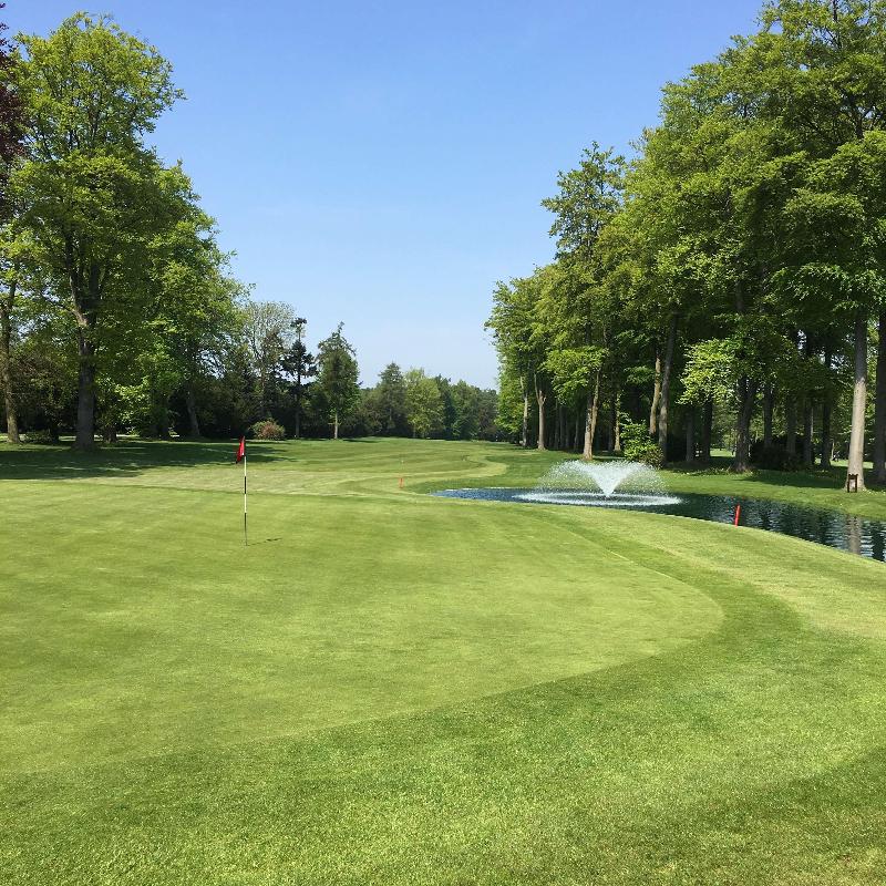 Forest Pines Hotel, Spa & Golf Resort - Aktivite