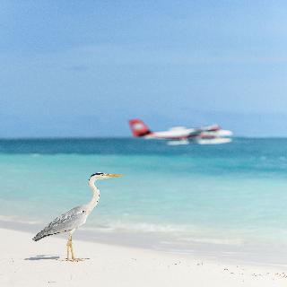 Conrad Maldives Rangali Island fotoÄŸrafÄ±