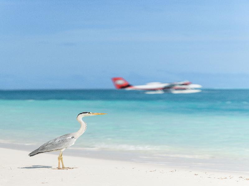 Conrad Maldives Rangali Island - Genel