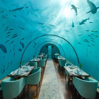 Conrad Maldives Rangali Island fotoÄŸrafÄ±