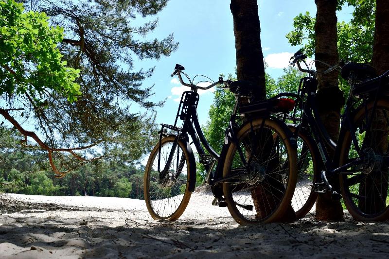 DoubleTree by Hilton Royal Parc Soestduinen - Aktivite