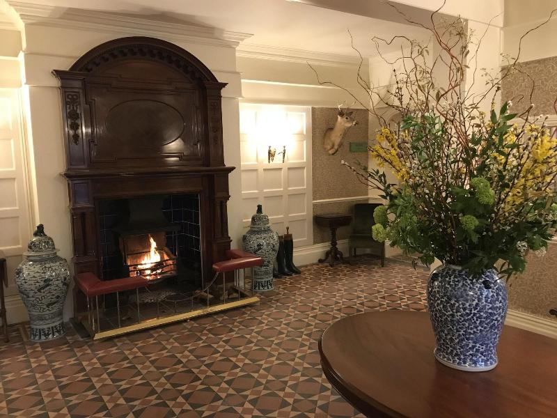 Forest Park Hotel - Lobi