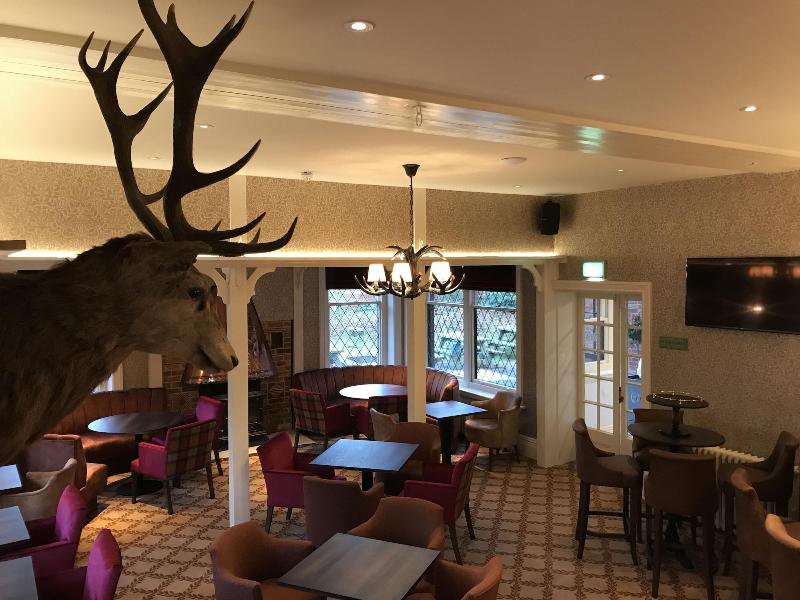 Forest Park Hotel - Lobi