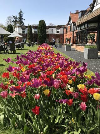 Forest Park Hotel fotoÄŸrafÄ±