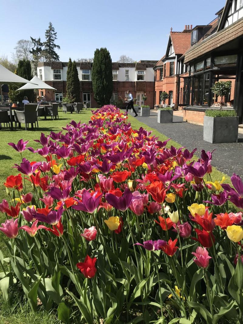Forest Park Hotel - Genel