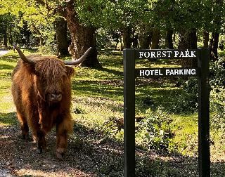 Forest Park Hotel fotoÄŸrafÄ±