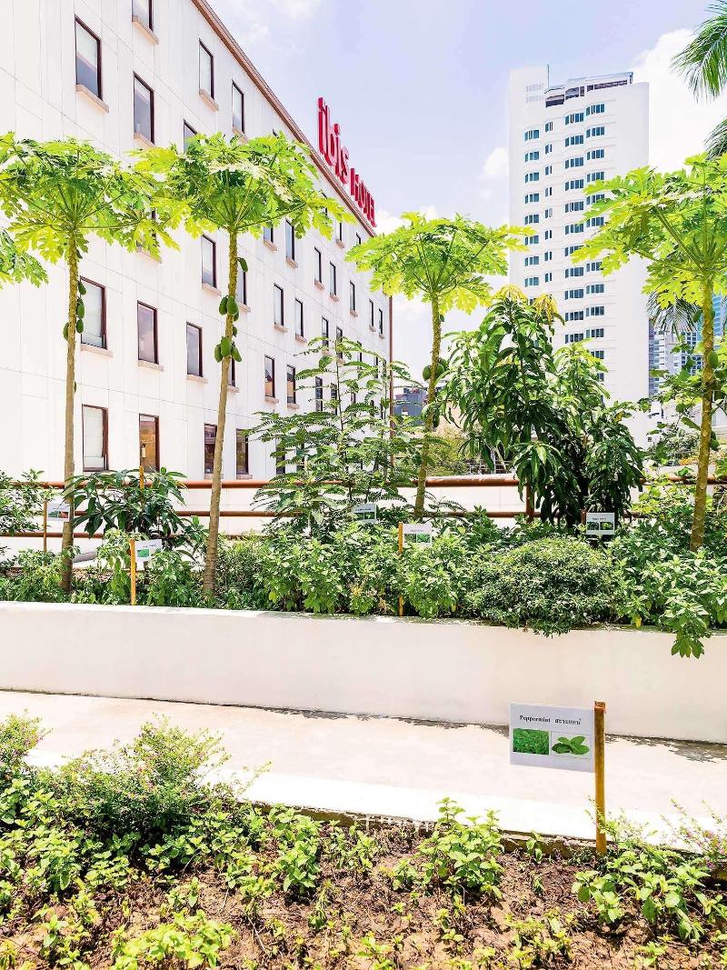 Ibis Bangkok Sukhumvit 4 - Genel