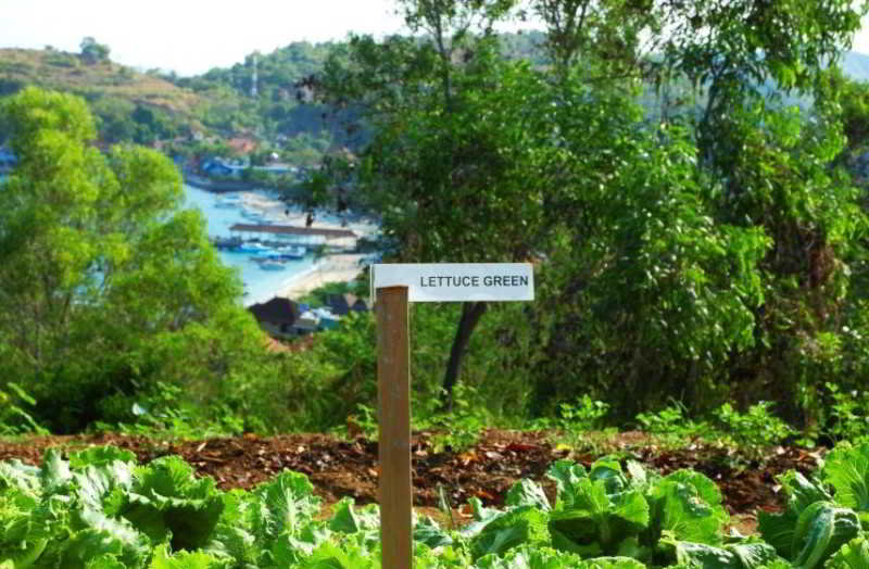 Bloo Lagoon Village fotoÄŸrafÄ±