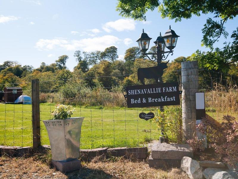 Shenavallie Bed & Breakfast - Genel