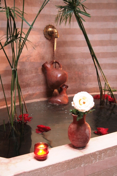 Riad Carina - Genel