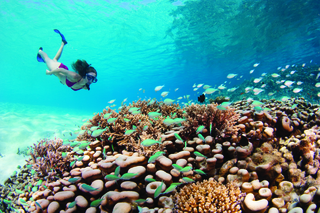 Four Seasons Resort Maldives at Kuda Huraa fotoÄŸrafÄ±