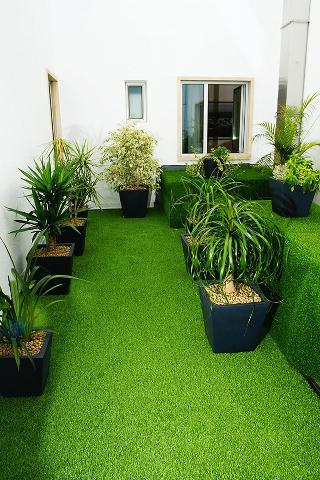 Pensao Concha Residencial fotoÄŸrafÄ±