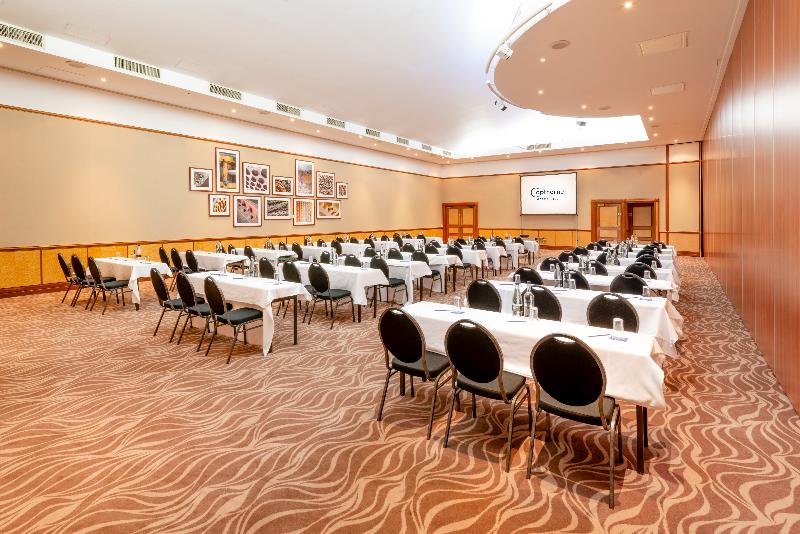 Copthorne Hotel Merry Hill-Dudley - Toplantı