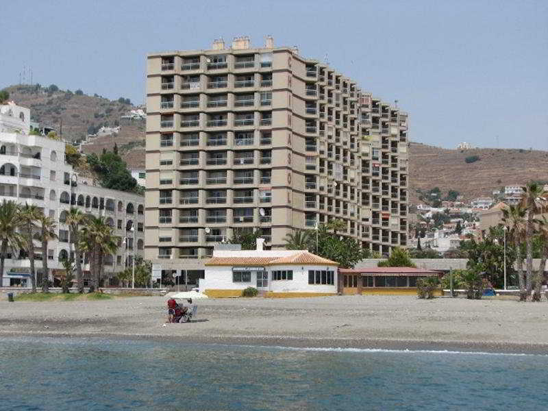 Apal Chinasol - Genel
