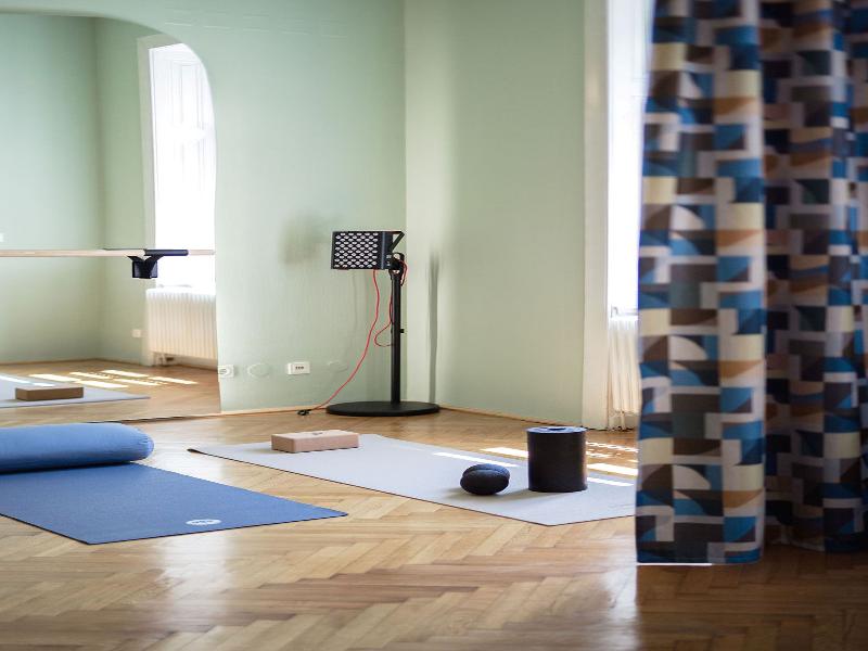 Small Luxury Hotel Altstadt Vienna - Aktivite