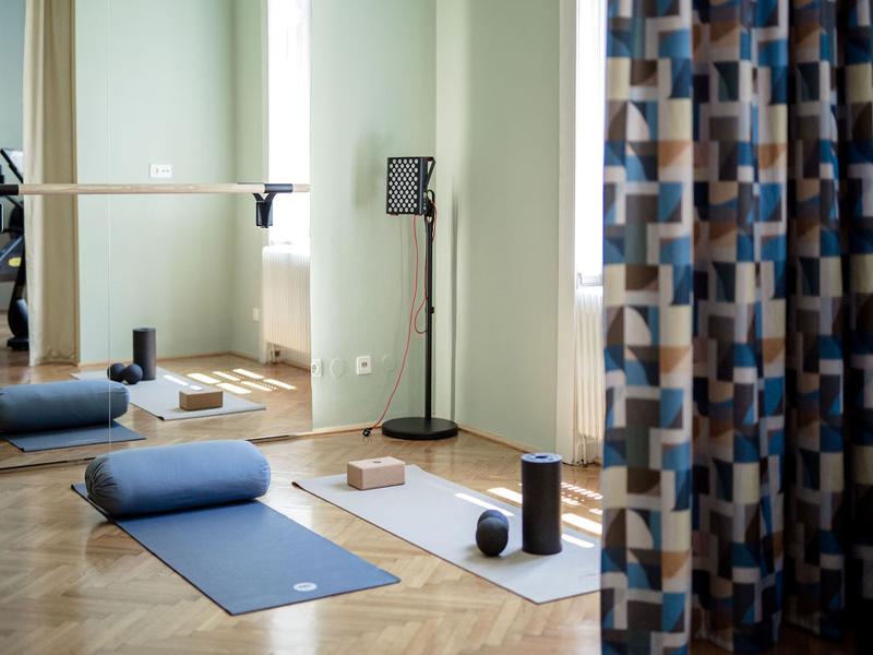 Small Luxury Hotel Altstadt Vienna - Aktivite