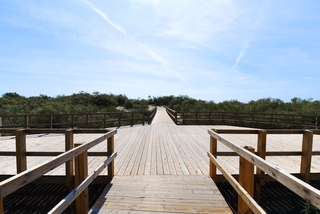 Praia da Lota Resort - Hotel fotoÄŸrafÄ±