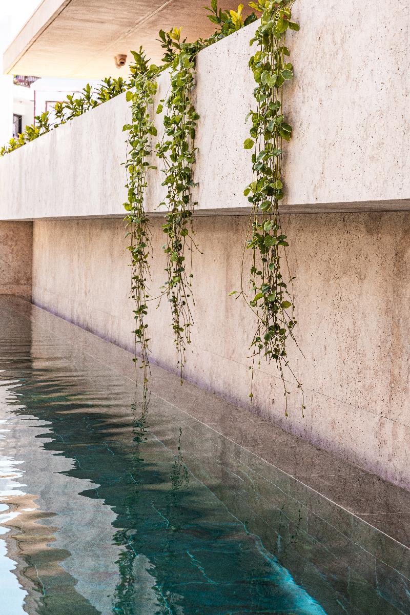 M Boutique Hotel - Designed for Adults - Havuz