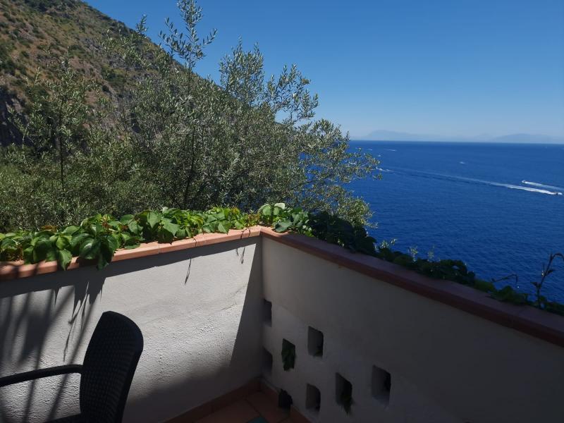 La Perla - Oda