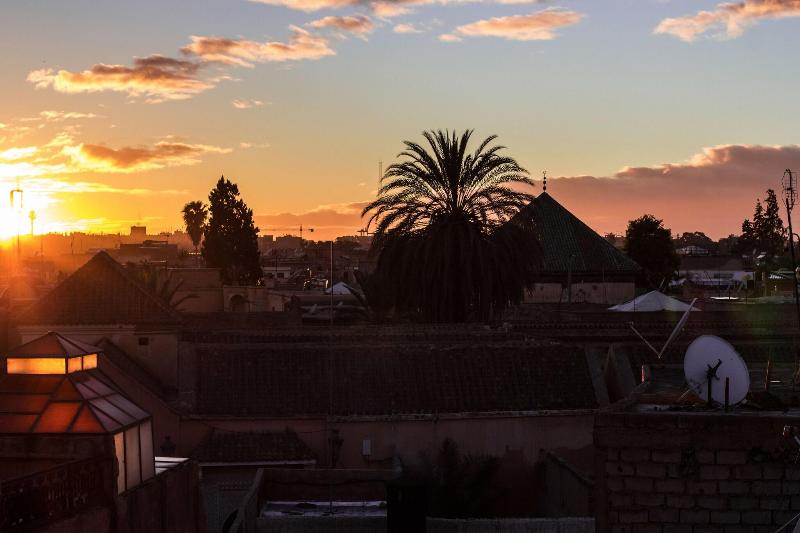 Riad Amina - Genel