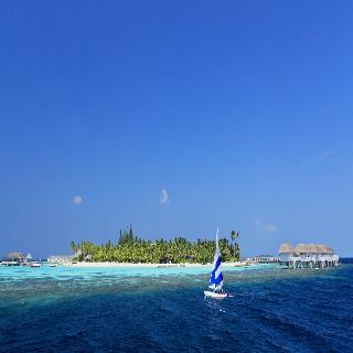 Machchafushi Island Resort & Spa Maldives fotoÄŸrafÄ±