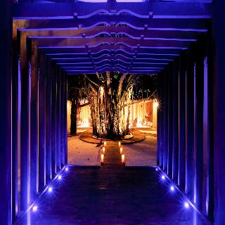 Machchafushi Island Resort & Spa Maldives fotoÄŸrafÄ±