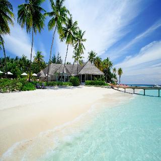 Machchafushi Island Resort & Spa Maldives fotoÄŸrafÄ±
