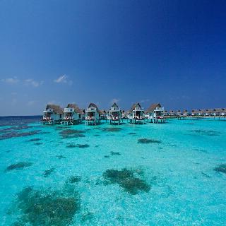 Machchafushi Island Resort & Spa Maldives fotoÄŸrafÄ±