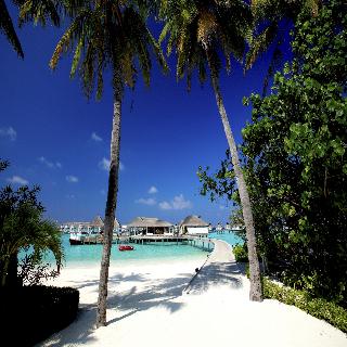 Machchafushi Island Resort & Spa Maldives fotoÄŸrafÄ±