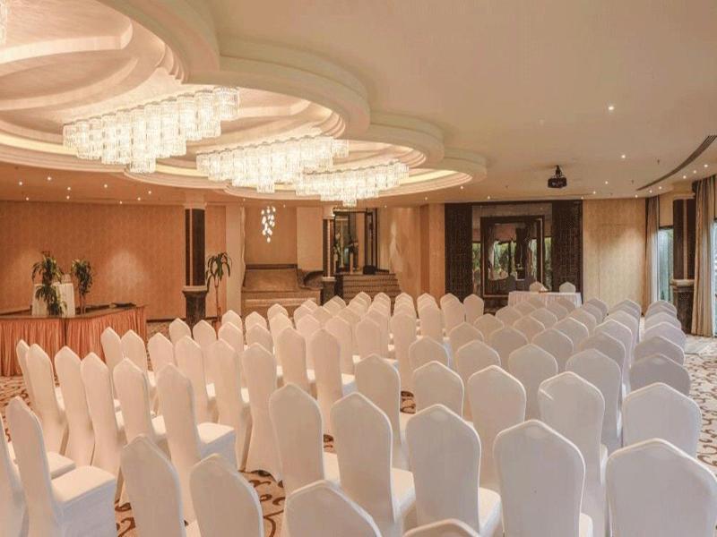 Crowne Plaza Riyadh Palace, an IHG Hotel - Toplantı