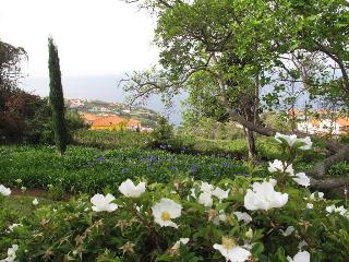 Quinta Das Vinhas fotoÄŸrafÄ±