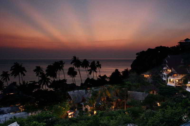 Cocohut Beach Resort & Spa fotoÄŸrafÄ±