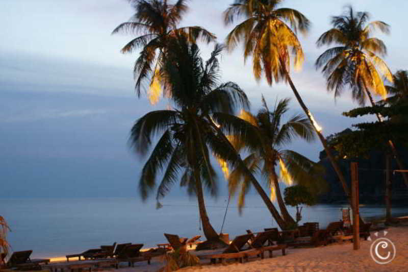 Cocohut Beach Resort & Spa fotoÄŸrafÄ±