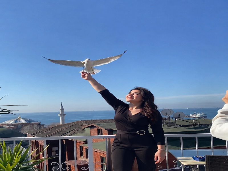 Ayasofya Hotel - Genel